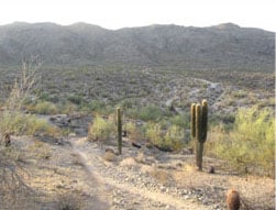 South Mountain in Phoenix, Arizona